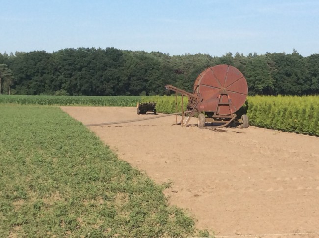 De haspelbevat de slang waar de wagen met sproeier op aangesloten zit. De slang wordt langzaam ingehaald, waadoor de sproeier over het hele veld wordt getrokken.